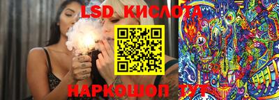 spice Кунгур